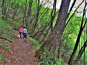 23 Prevalenti nel bosco i carpini neri